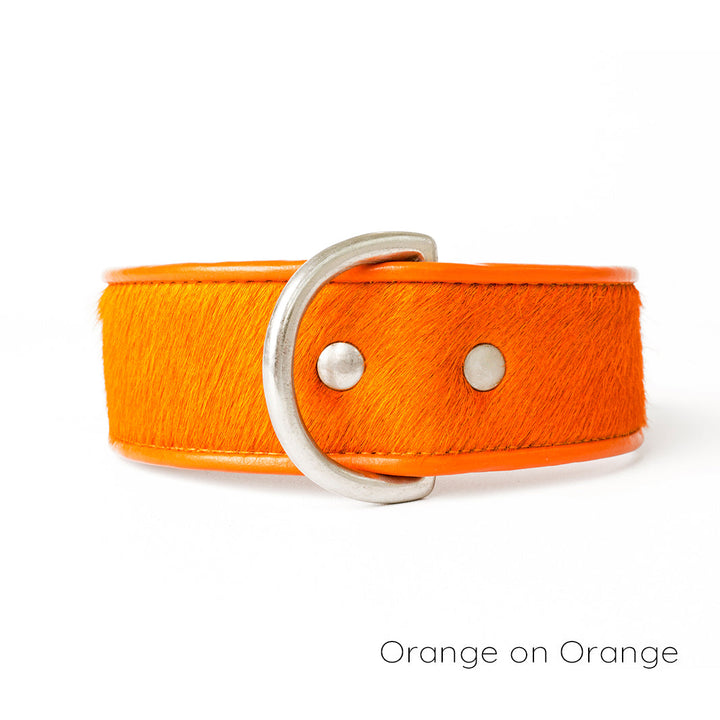 Holly&Lil Brightside Classic Wide Dog Collar