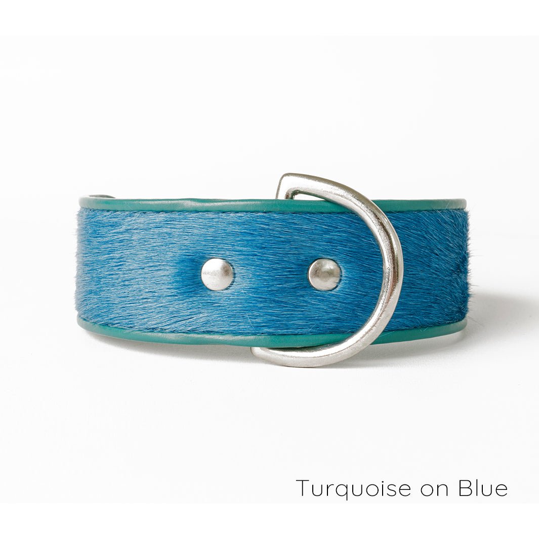 Holly&Lil Brightside Classic Wide Dog Collar