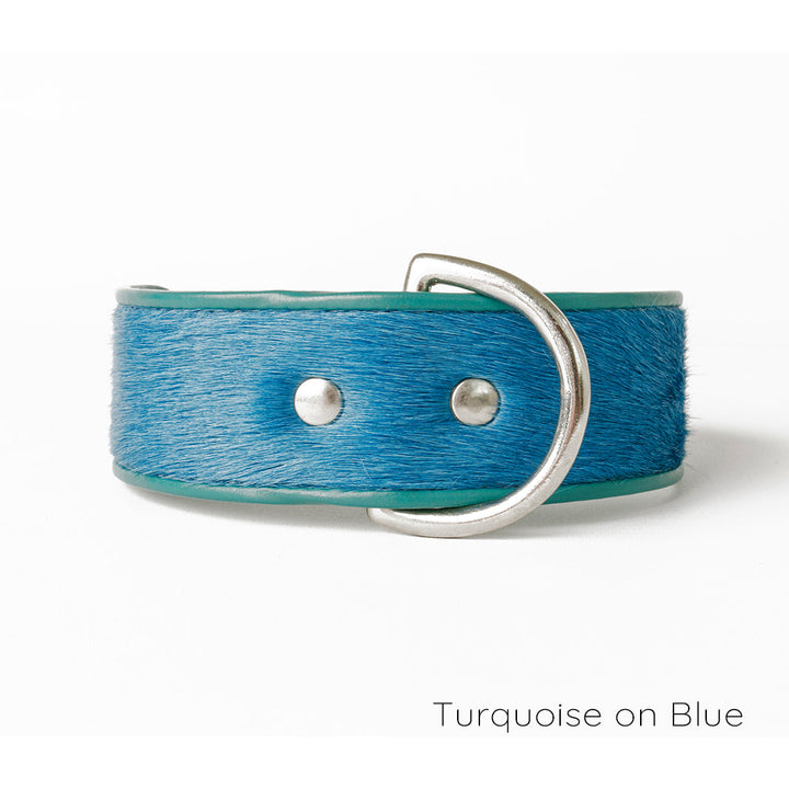 Holly&Lil Brightside Classic Wide Dog Collar