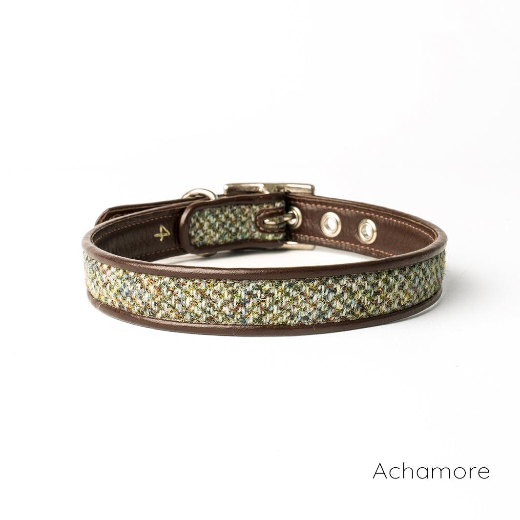 Holly&Lil Harris Tweed Classic Slim Dog Collar