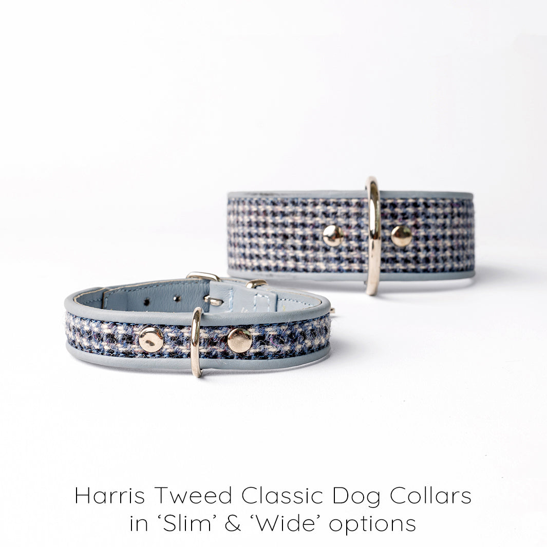 Holly&Lil Harris Tweed Classic Slim Dog Collar