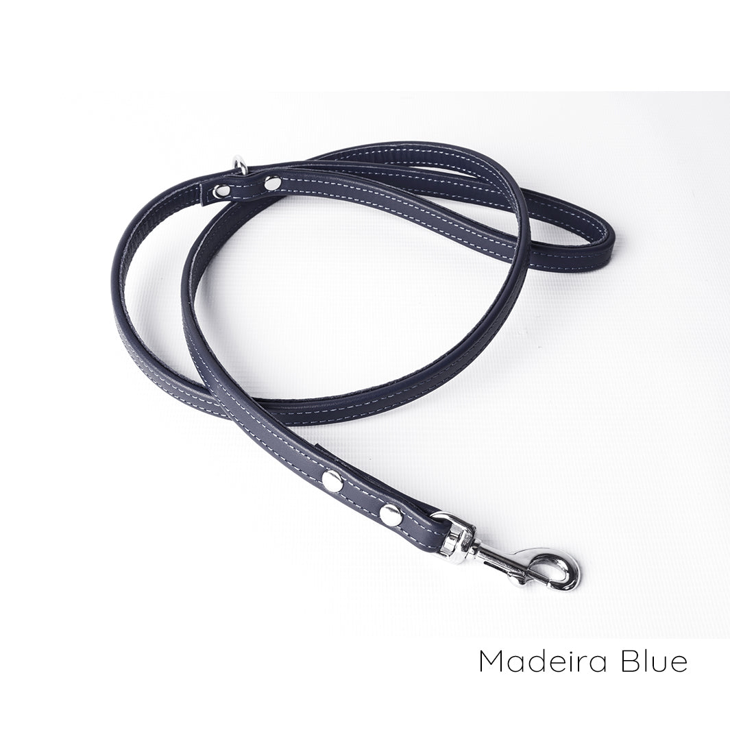 Bespoke Leather Dog Lead in 12 Colours