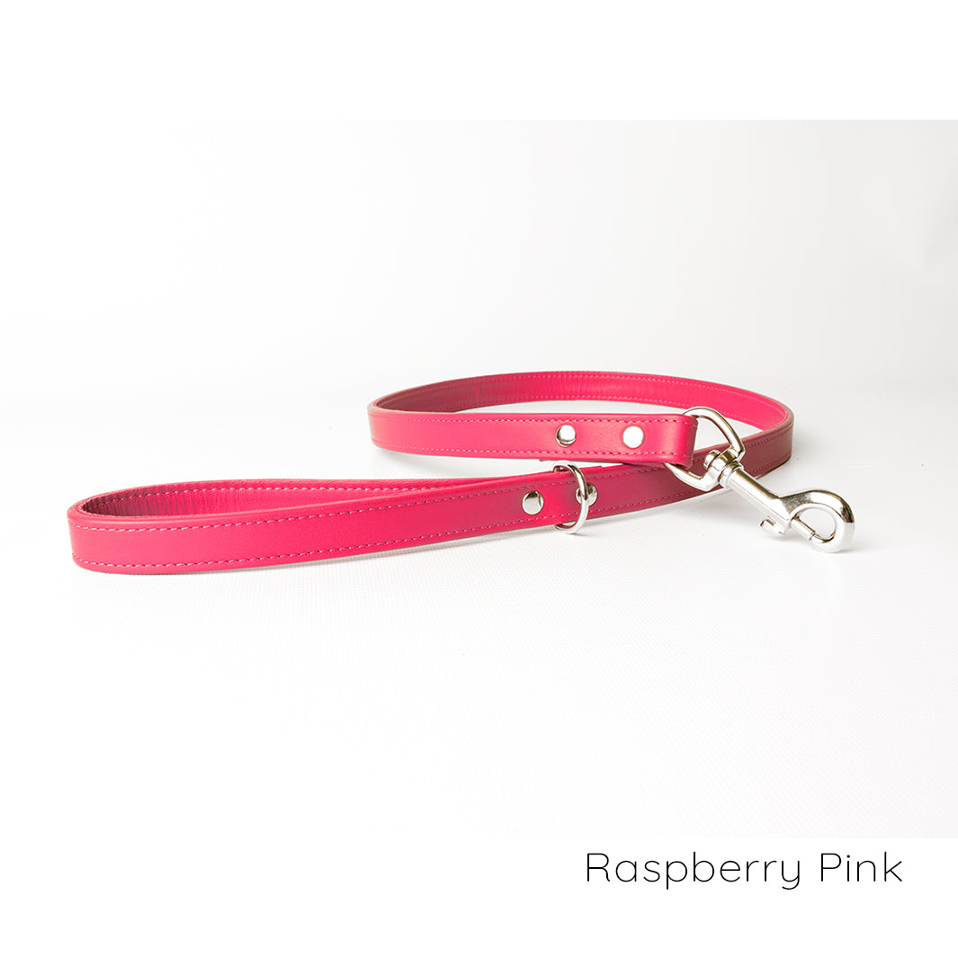 Bespoke Leather Dog Lead in 12 Colours