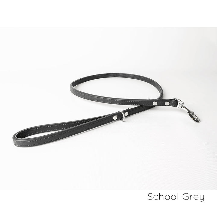 Bespoke Leather Dog Lead in 12 Colours