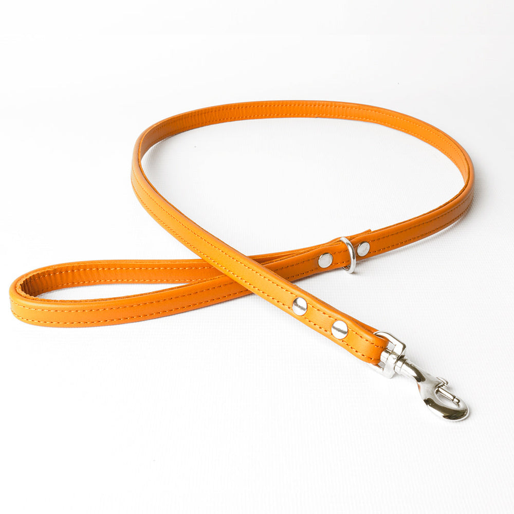 Bespoke Leather Dog Lead in 12 Colours