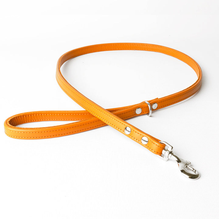 Bespoke Leather Dog Lead in 12 Colours