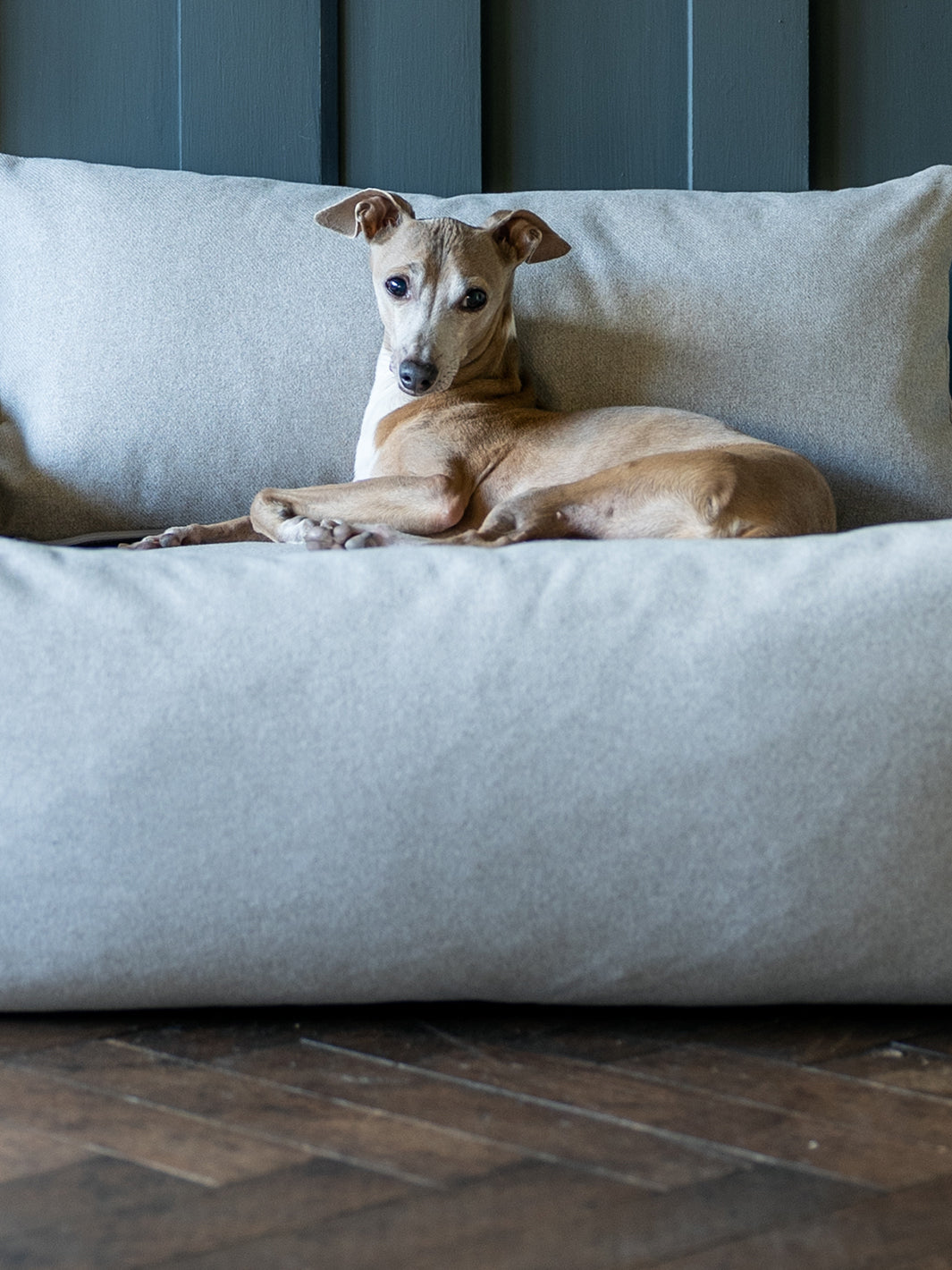 Charley Chau - Luxury Dog Beds & Dog Blankets – Charley Chau - luxury dog  bedding