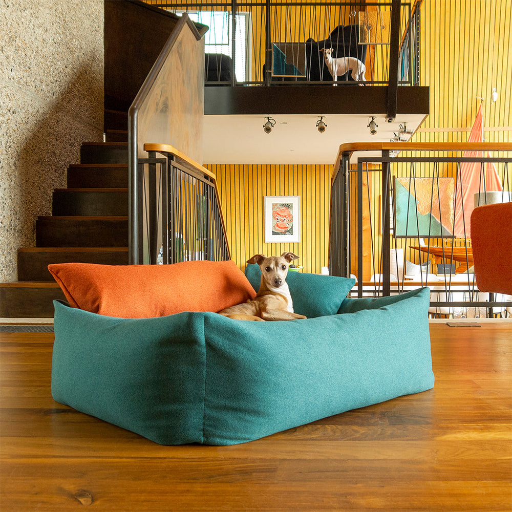 Luxury Bolster Dog Bed by designer Charley Chau