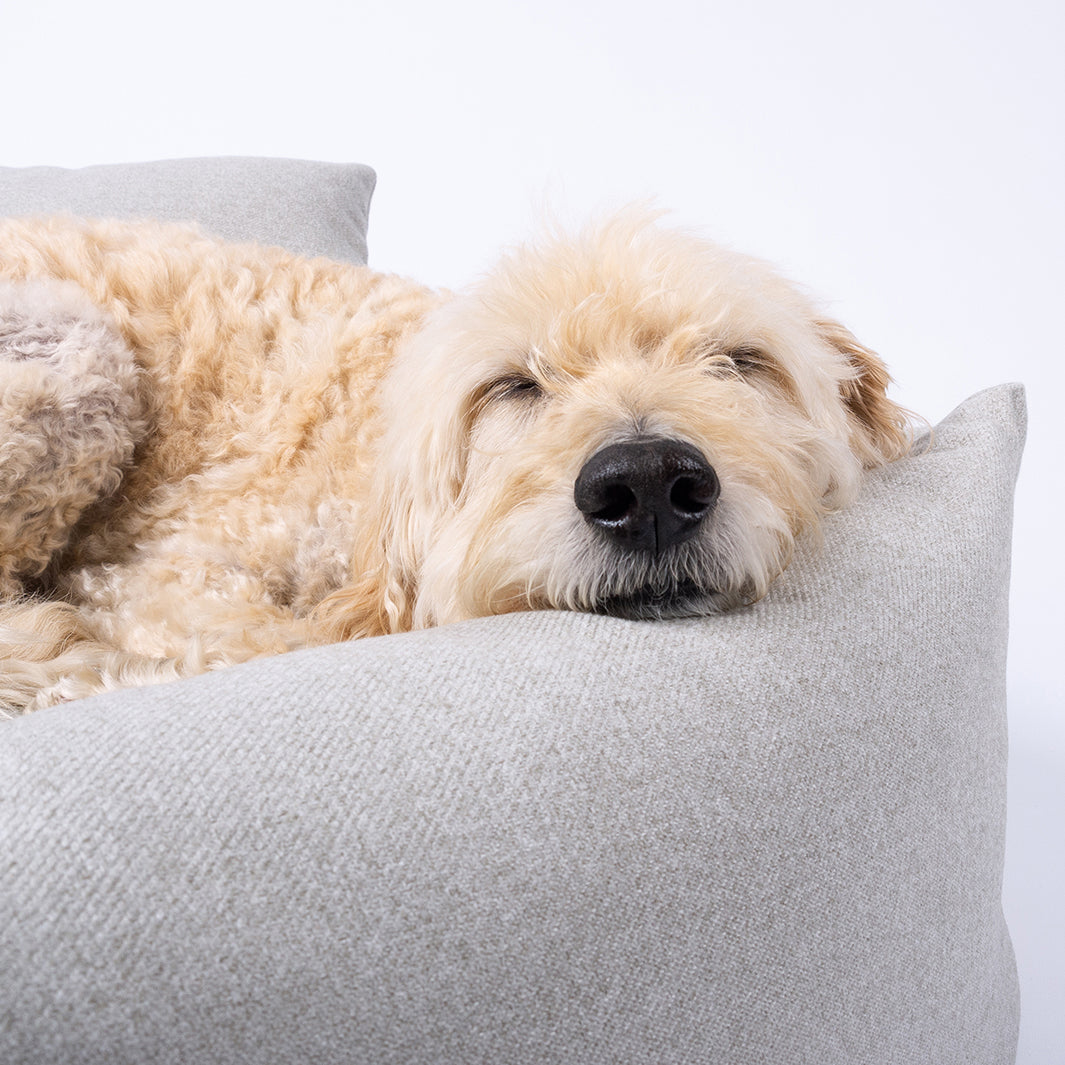 Luxury Bolster Dog Bed by designer Charley Chau
