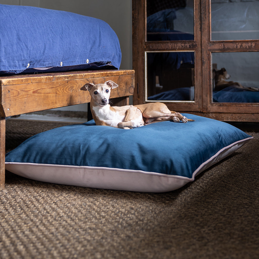 Luxury Dog Bed Mattress - Charley Chau Day Bed in Velour Velvet
