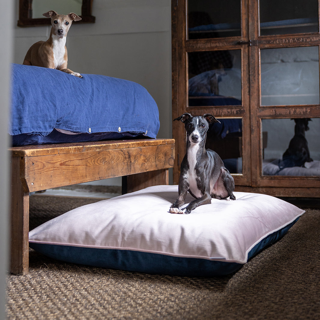 Luxury Dog Bed Mattress - Charley Chau Day Bed in Velour Velvet