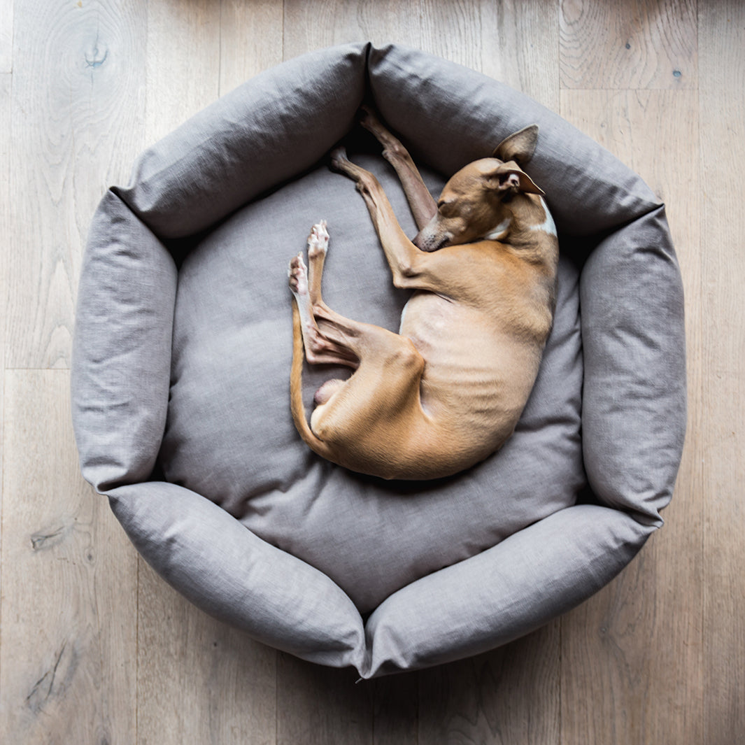 Ducky Donut Dog Bed by Charley Chau - feather filled donut dog bed