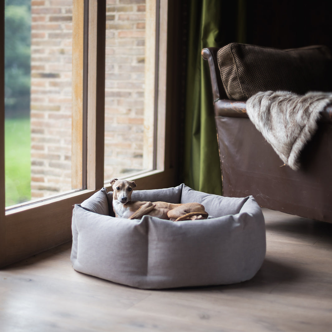 Ducky Donut Dog Bed by Charley Chau - feather filled donut dog bed