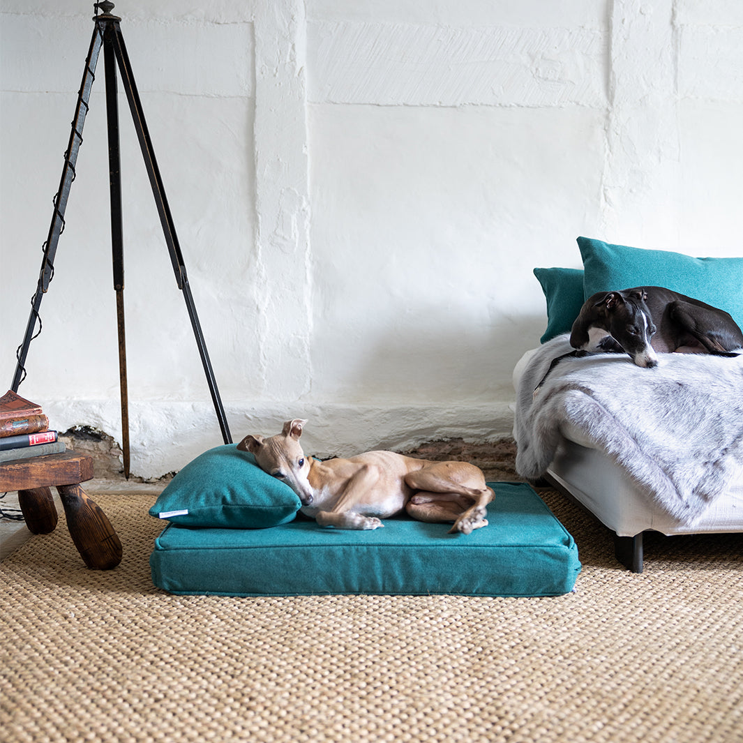 Luxury Memory Foam Dog Bed Mattress by Charley Chau 
