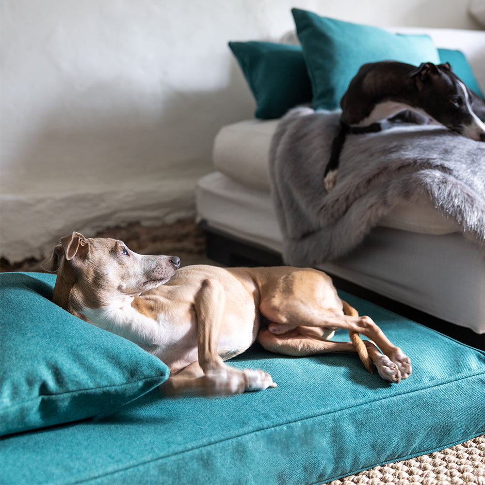 Luxury Memory Foam Dog Bed Mattress by Charley Chau 