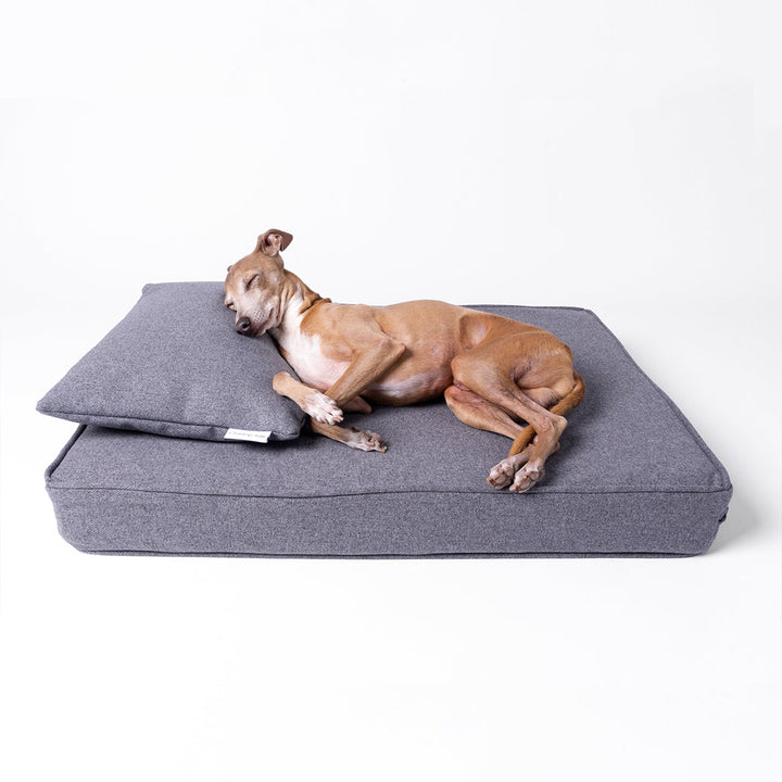 Luxury Memory Foam Dog Bed Mattress with Anti-Microbial Mattress Protector by Charley Chau 