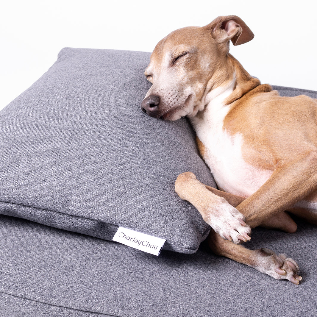 Luxury Memory Foam Dog Bed Mattress with Anti-Microbial Mattress Protector by Charley Chau 