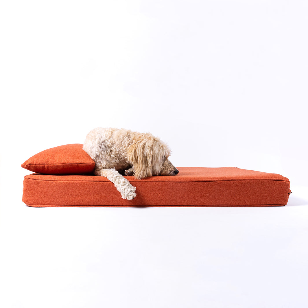 Luxury Memory Foam Dog Bed Mattress with Anti-Microbial Mattress Protector by Charley Chau 