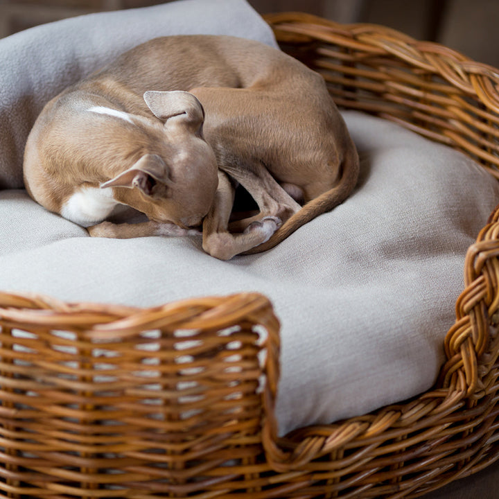 Charley Chau Luxury Oval Rattan Dog Basket