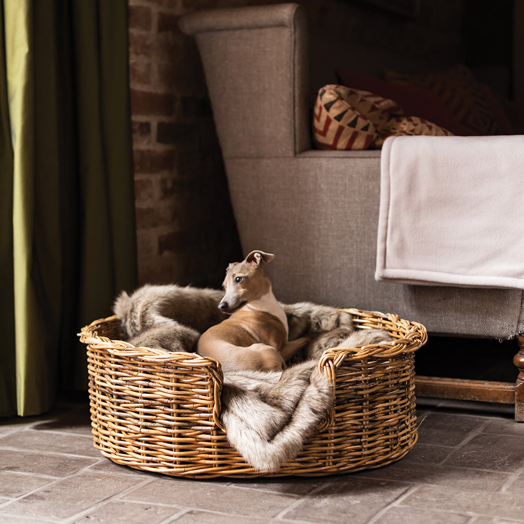 Charley Chau Luxury Oval Rattan Dog Basket