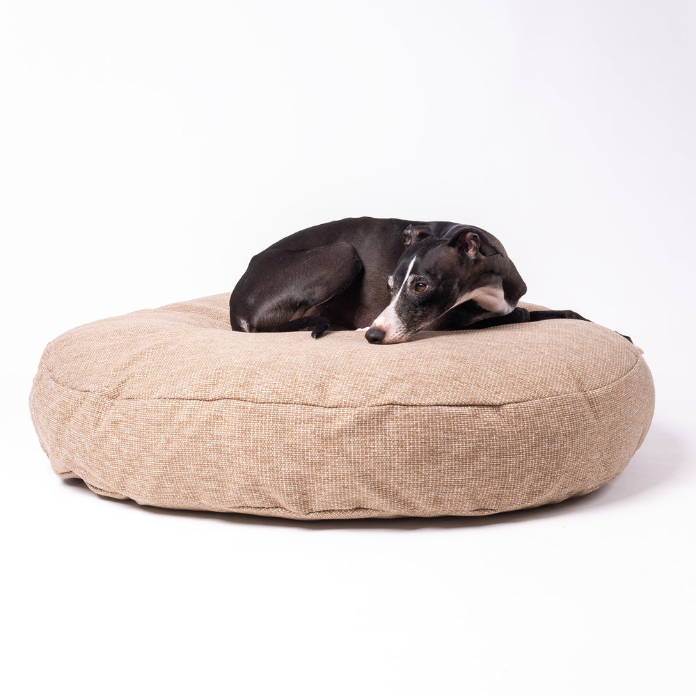 Luxury Round Dog Bed Mattress - a luxury dog bed that is perfect for awkward spaces and in corners of rooms. Shown with an Italian Greyhound dog sleeping on the dog bed.