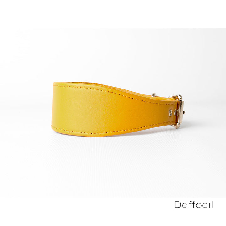 Leather Whippet Collars by Petiquette