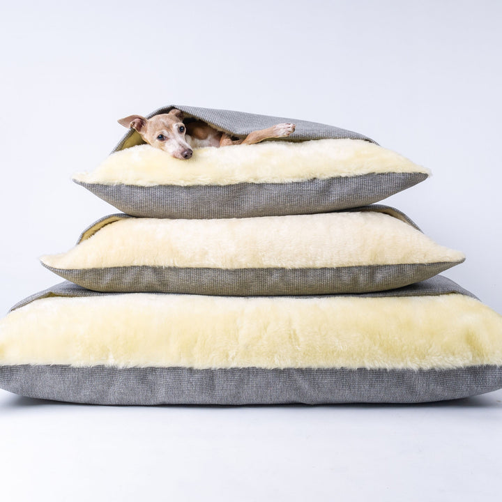 Luxury Dog Snuggle Beds by designers Charley Chau, in three sizes, with an Italian Greyhound dog sleeping inside the dog bed.