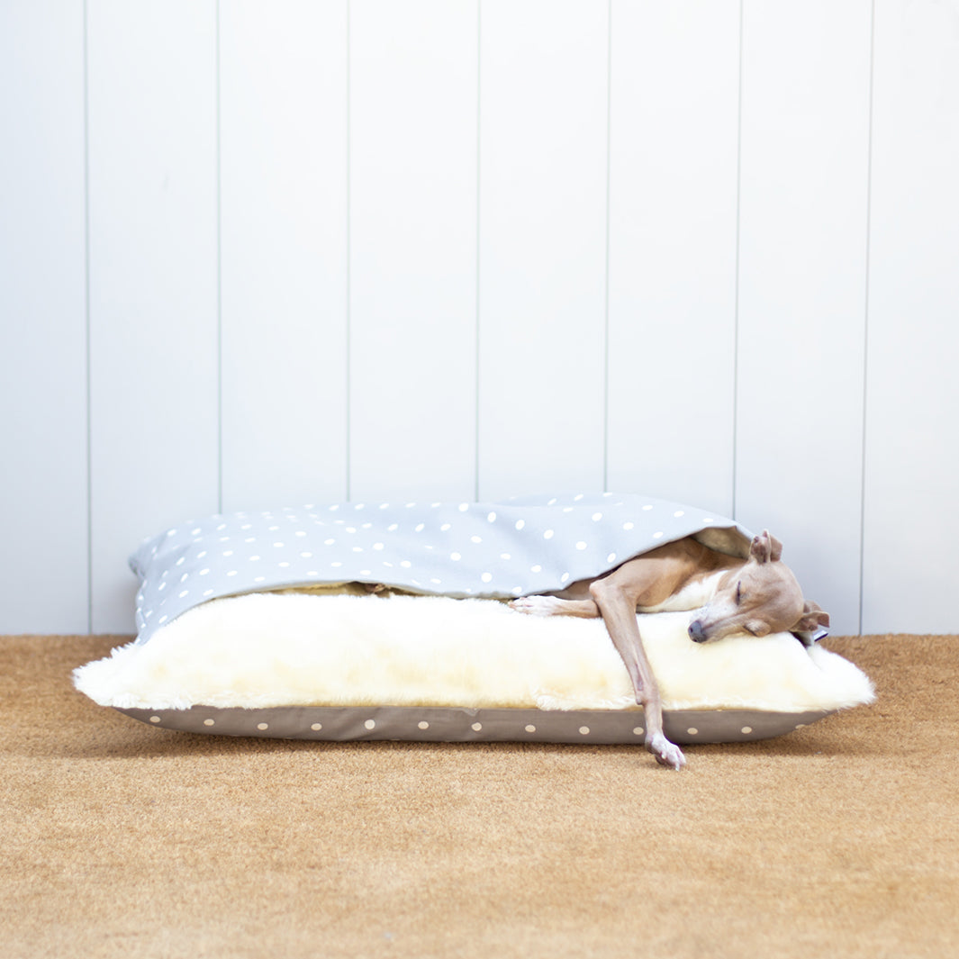 Charley Chau Luxury Snuggle Bed for Dogs