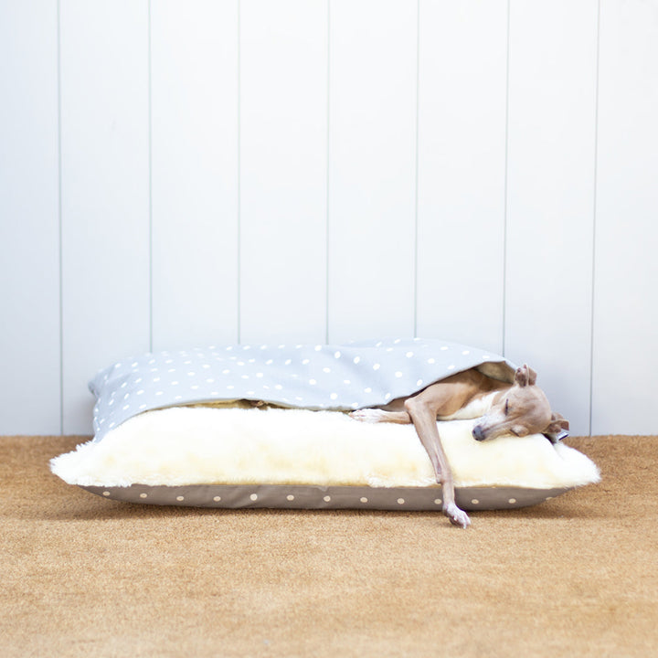 Charley Chau Luxury Snuggle Bed for Dogs