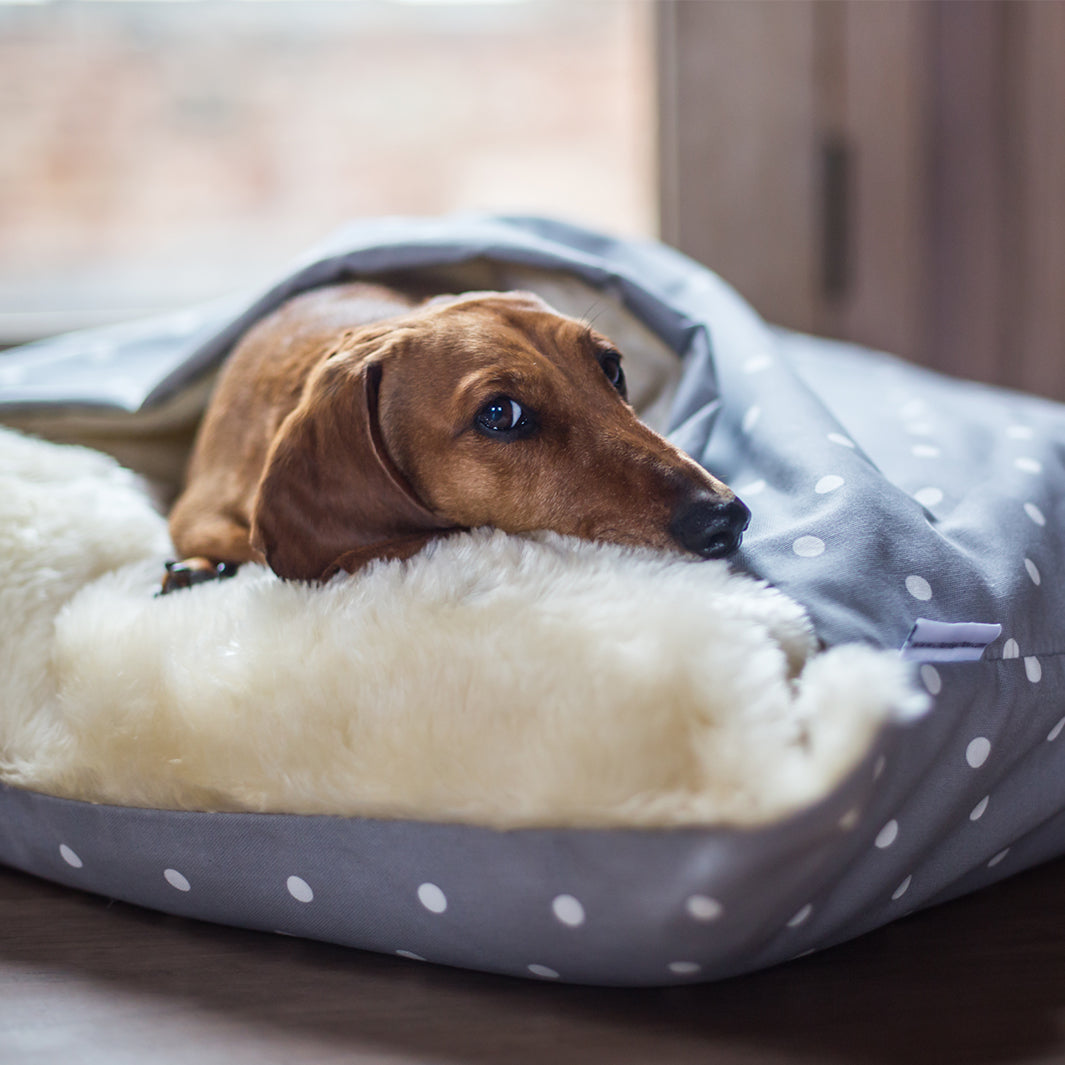 Pita pocket dog bed best sale