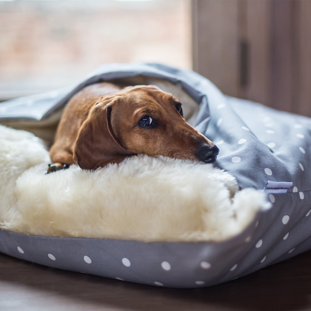 Charley Chau Luxury Snuggle Bed for Dogs
