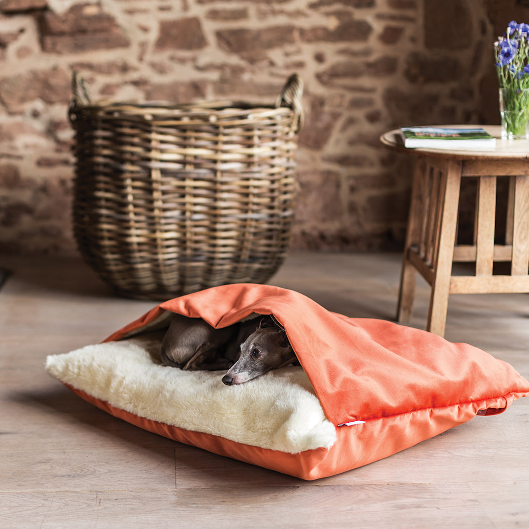 Charley Chau Luxury Snuggle Dog Bed in Velvet Velour