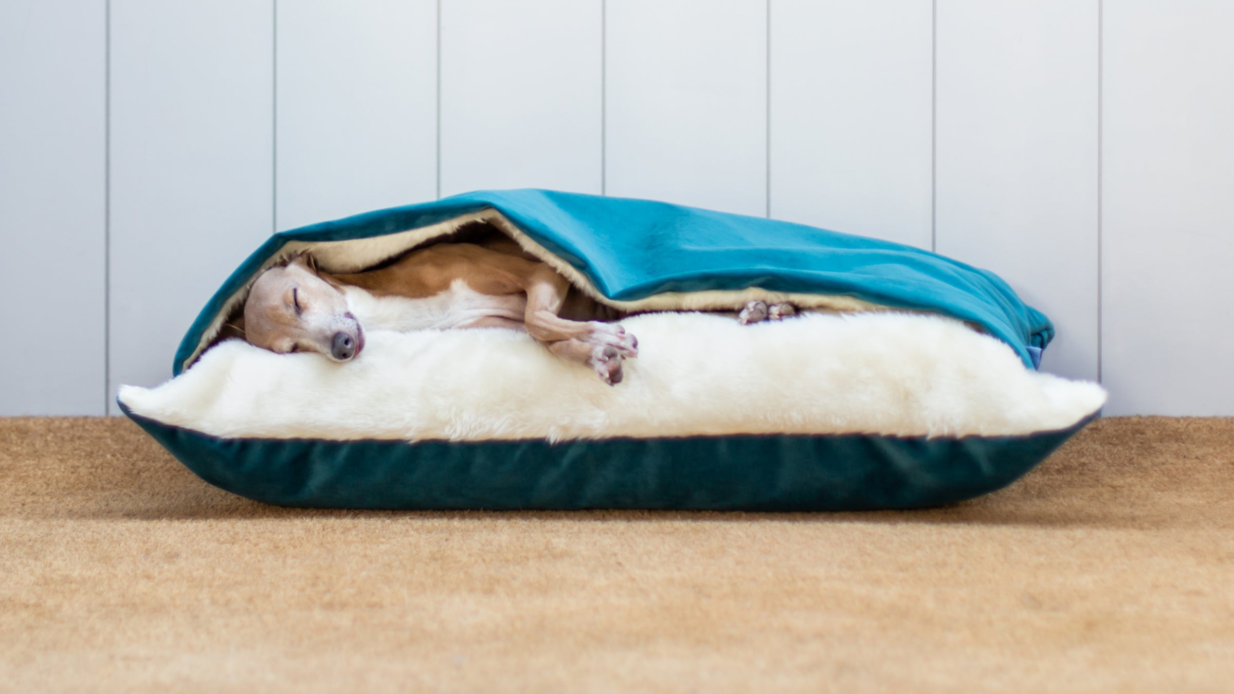 Charley Chau luxury Snuggle Dog Bed