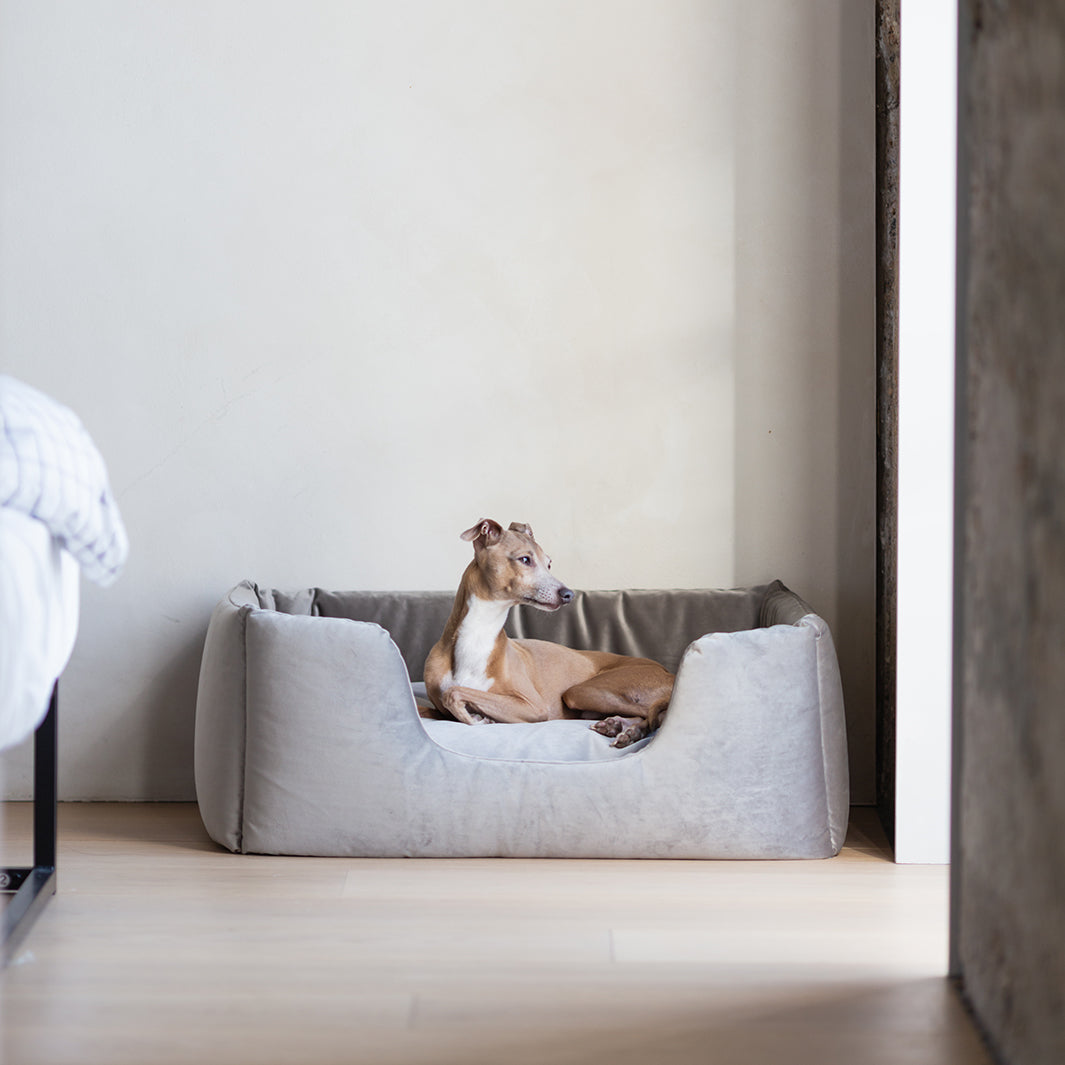 Deeply Dishy Luxury Dog Bed in Velvety Velour