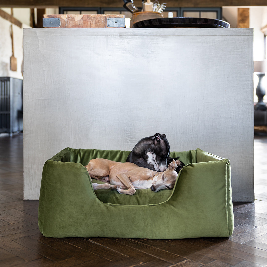 Deeply Dishy Luxury Dog Bed in Velvety Velour