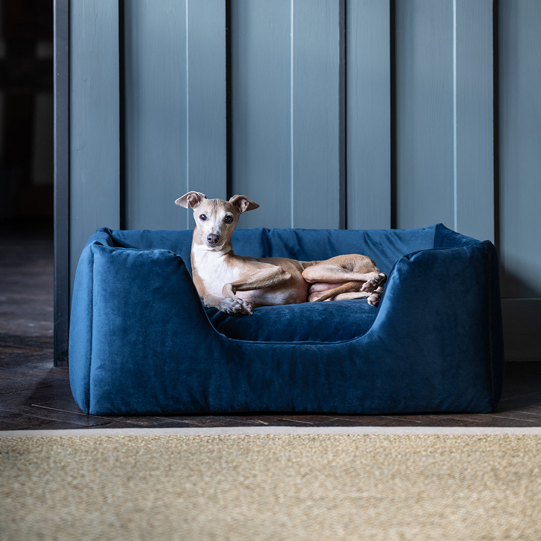 Deeply Dishy Luxury Dog Bed in Velvety Velour