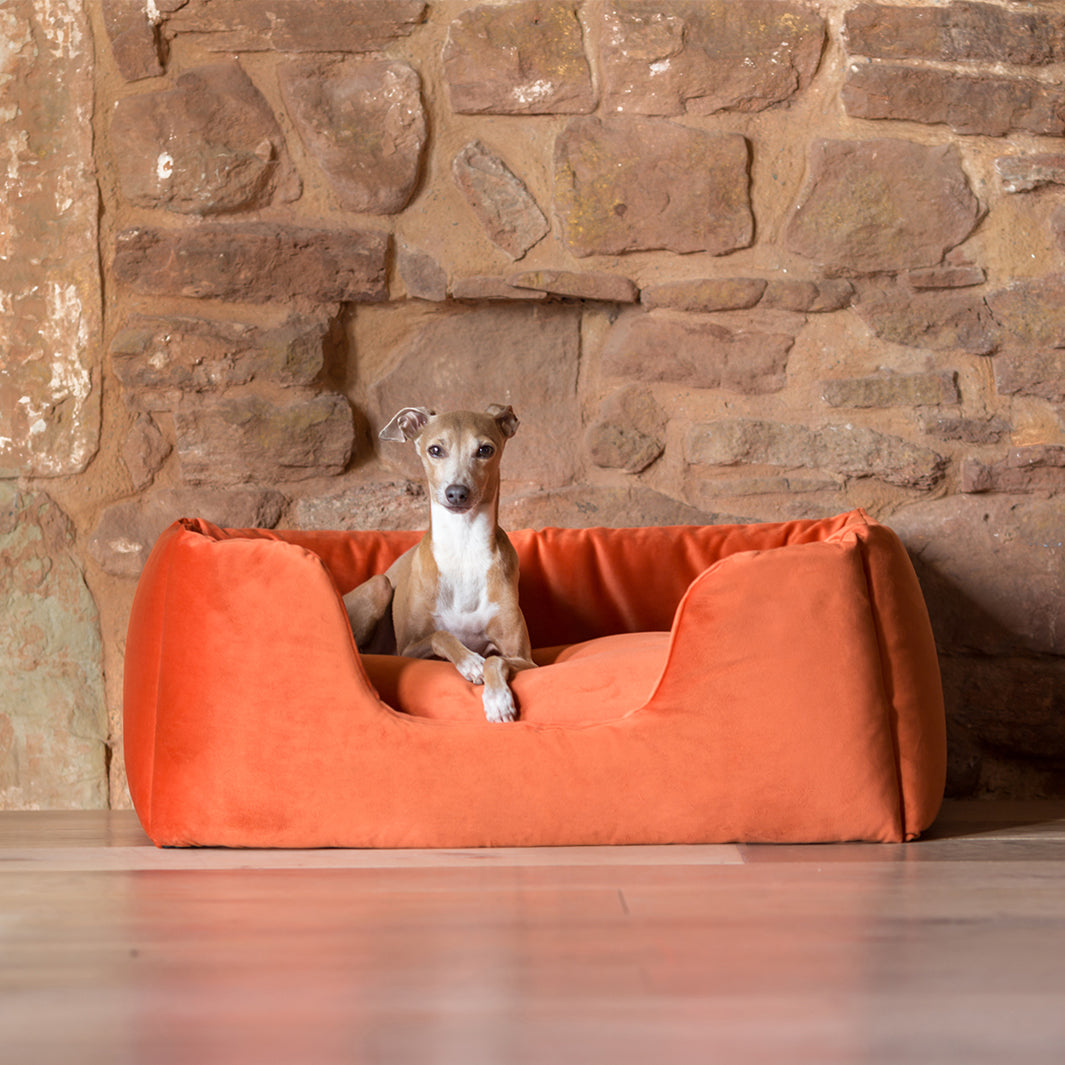 Deeply Dishy Luxury Dog Bed in Velvety Velour