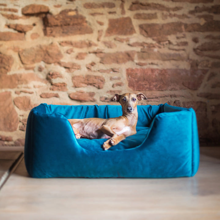 Deeply Dishy Luxury Dog Bed in Velvety Velour