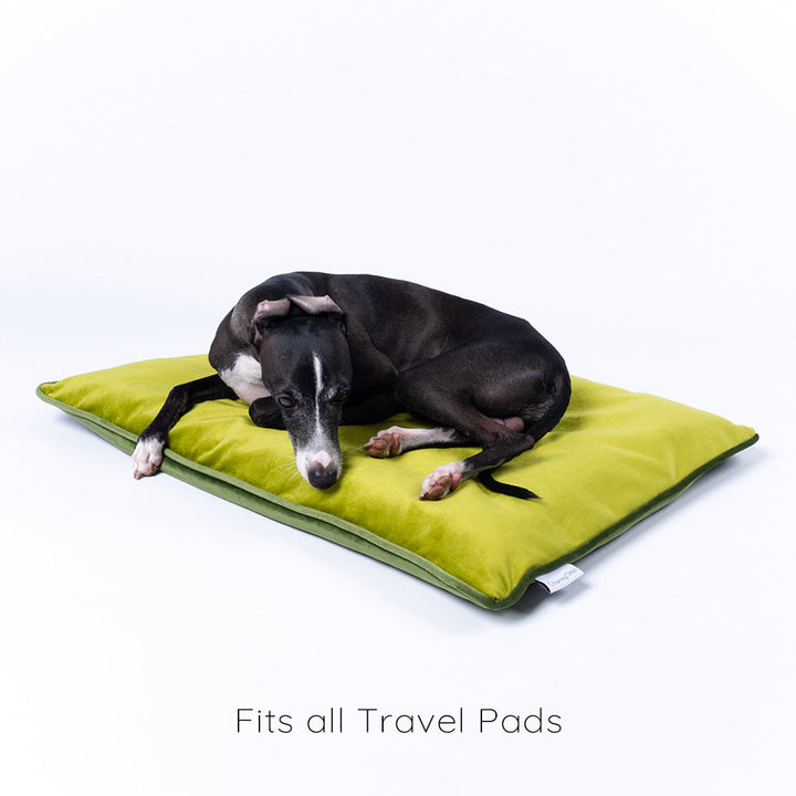 Charley Chau Spare Dog Bed Cover in Velvet Velour