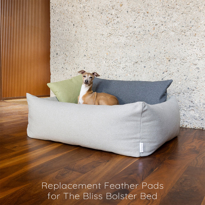 Ethically sourced Feather Pads for Charley Chau Bliss Bolster Dog Beds