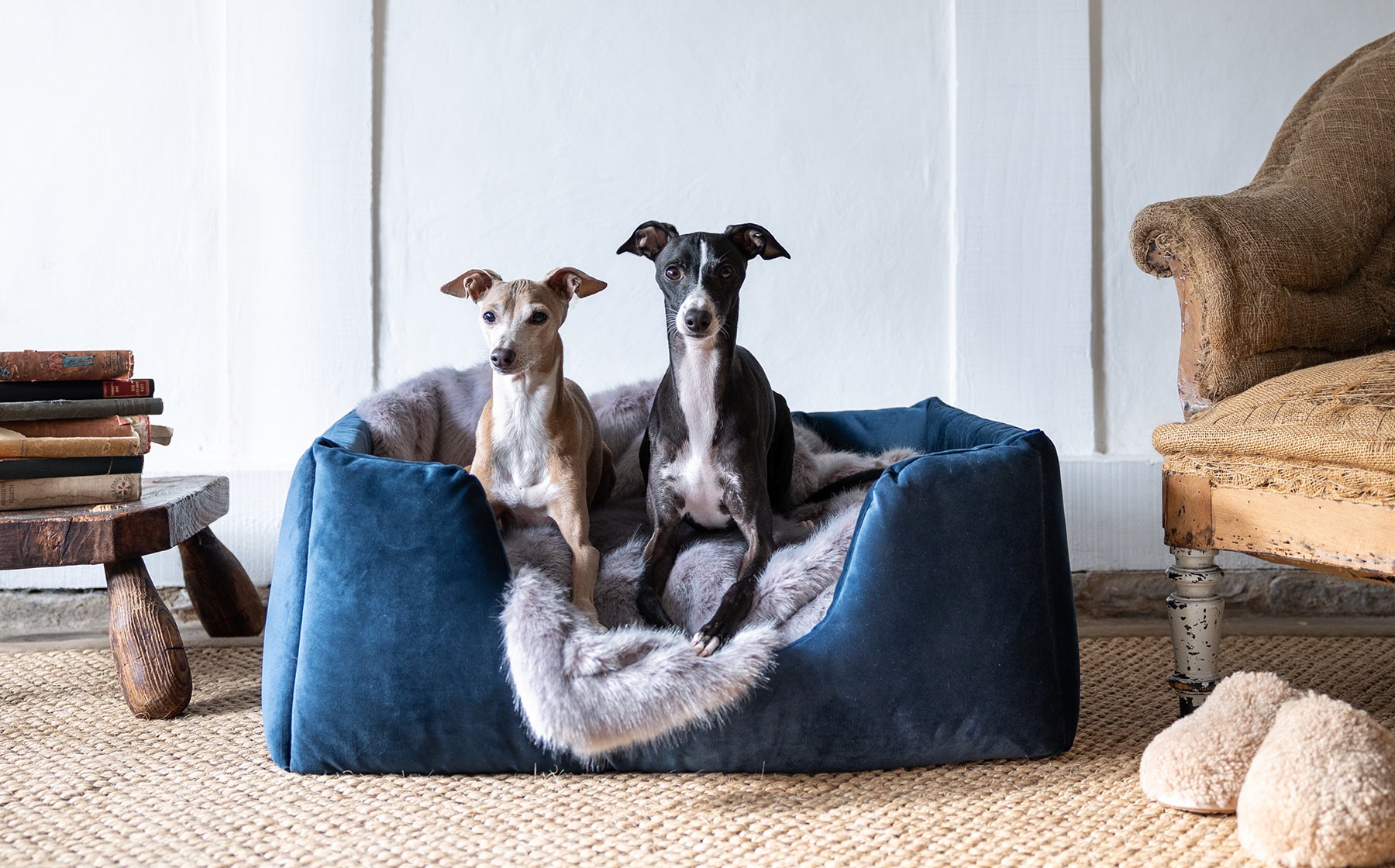 Boredom Busters - keeping our dogs entertained — Charley Chau - Luxury Dog  Beds & Blankets