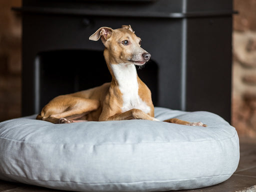 Boredom Busters - keeping our dogs entertained — Charley Chau - Luxury Dog  Beds & Blankets