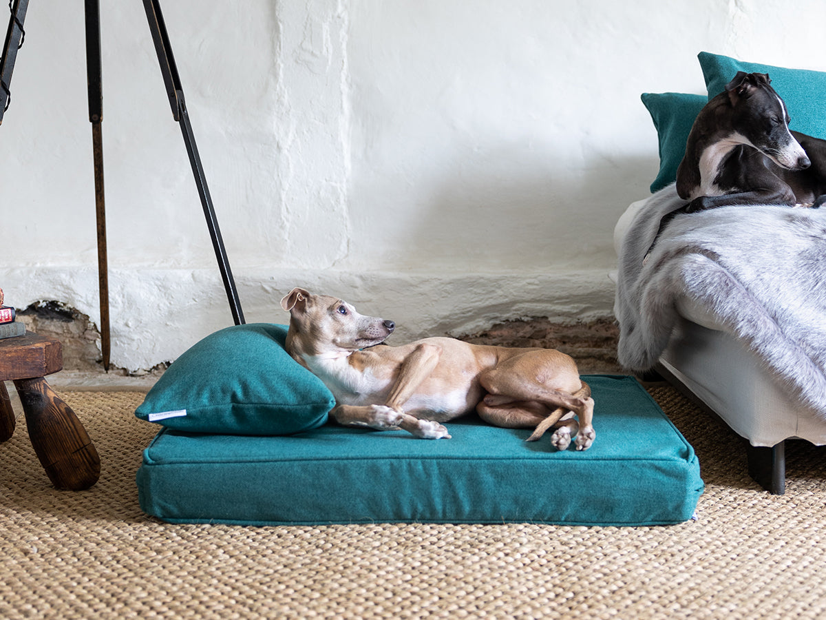 We love Louise Brooker at Edwyn UK — Charley Chau - Luxury Dog Beds ...
