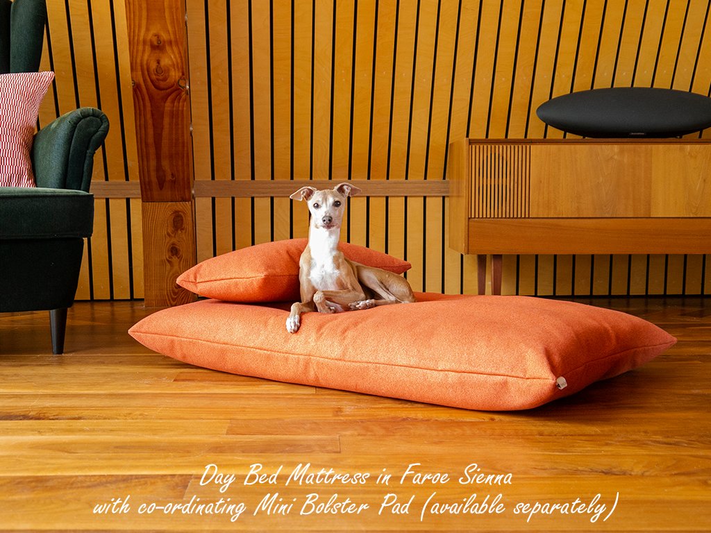 Dog day bed sales furniture