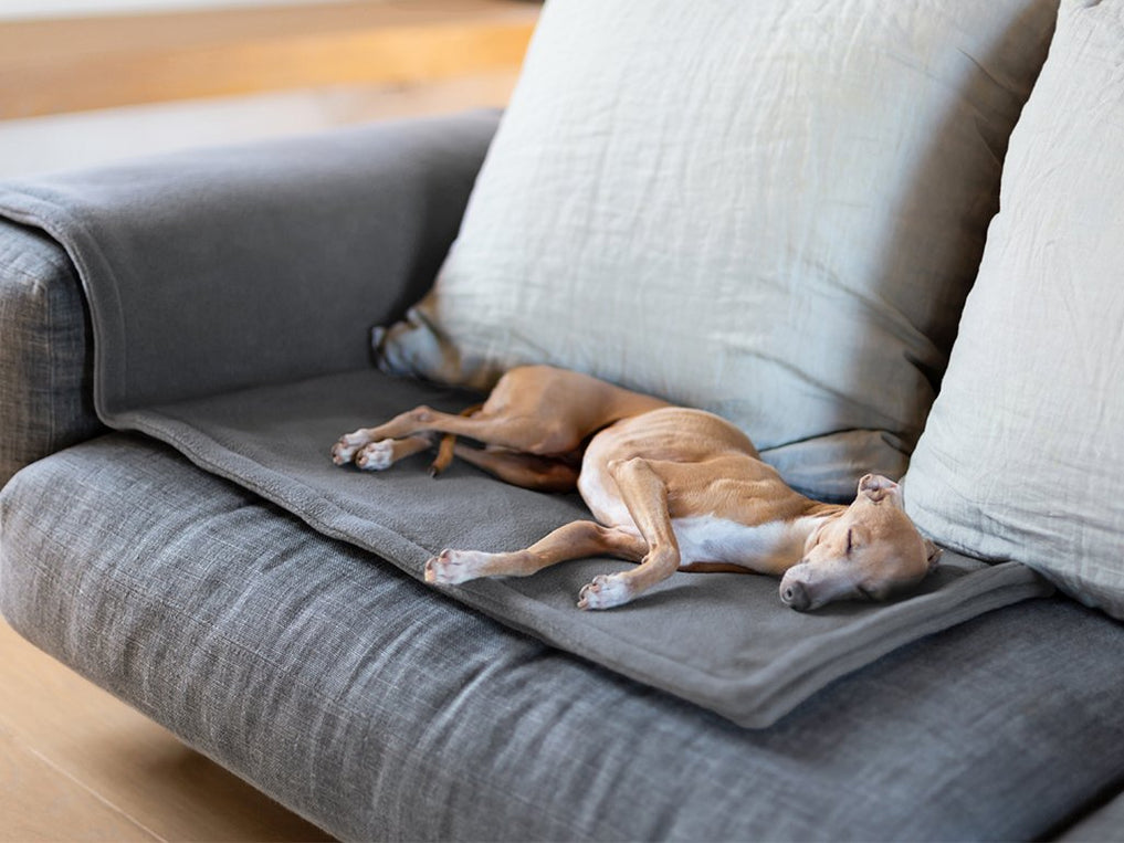 Double Fleece Dog Blankets — Charley Chau - Luxury Dog Beds & Blankets